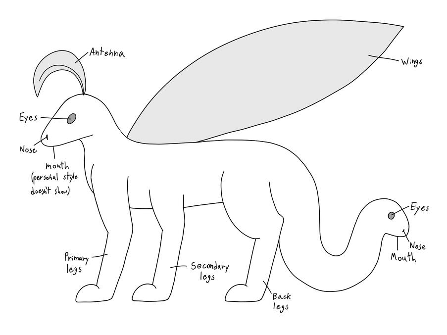 Basic Anatomy